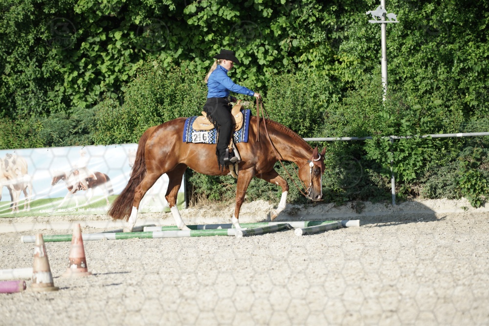 s_APF07149.jpg